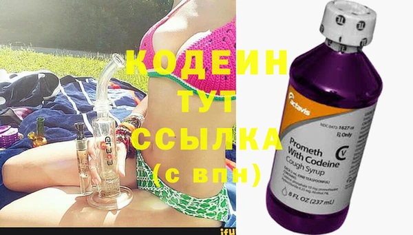 крисы Армянск