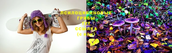 круглые Нягань