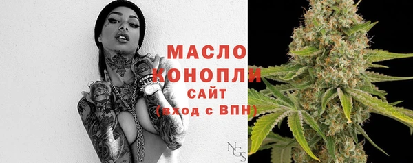 крисы Армянск