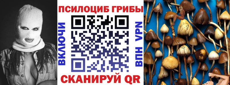 Галлюциногенные грибы Cubensis  Слободской 